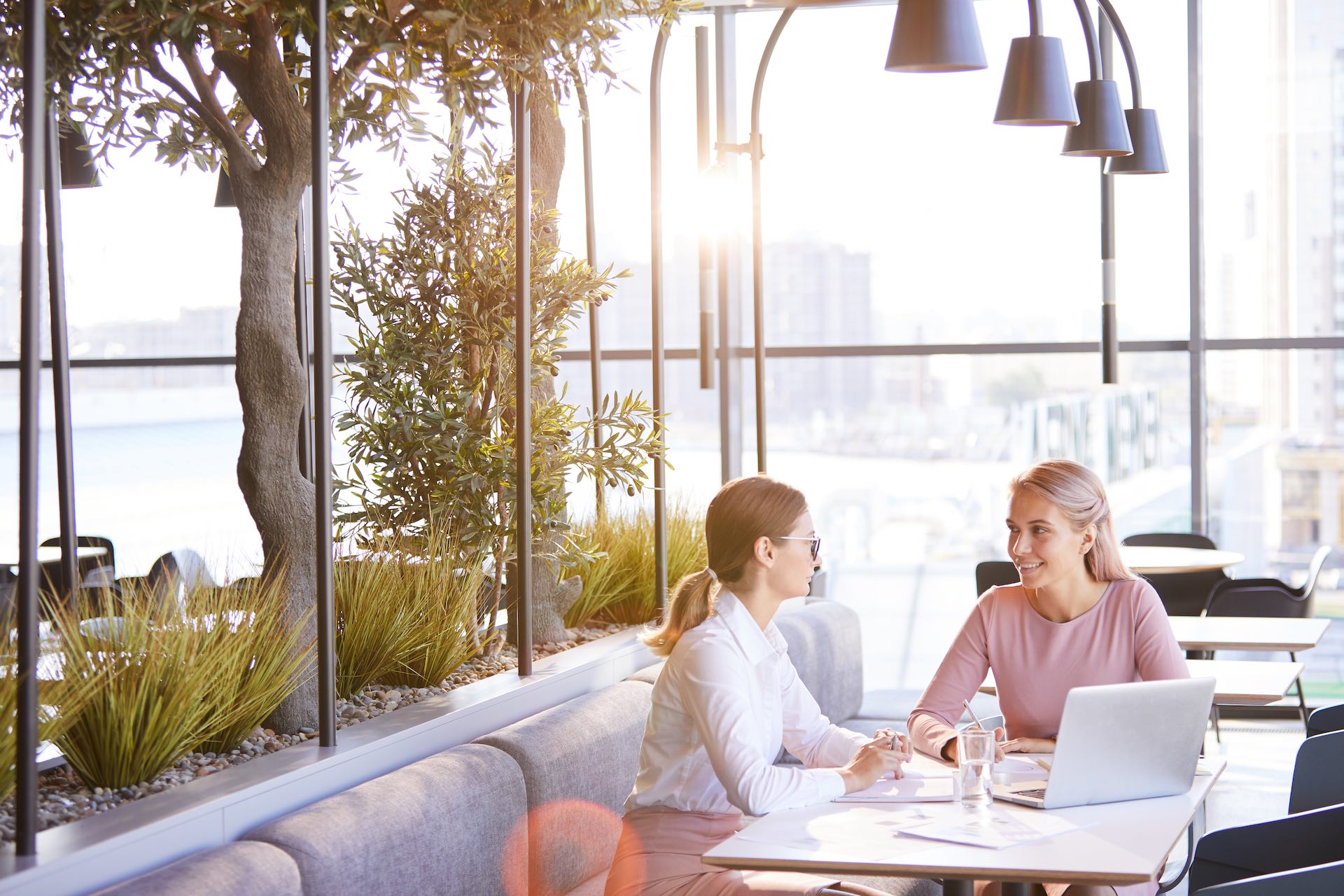 Positive young attractive women sitting at table in modern restaurant and using laptop while talking about project development